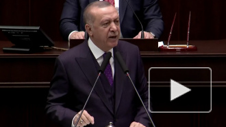 Эрдоган обвинил Россию в гибели мирных жителей в Идлибе