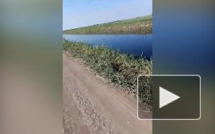 Новые подробности: В затонувшем в канале автомобиле в Волгоградской области оказалось 8 погибших 