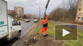 Прокуратура добилась установки знаков для инвалидов на парковке в Калининском районе