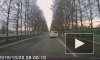 Кадры ужасного ДТП с участием пешехода на Детскосельском шоссе