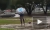 В Великом Новгороде проверят видео с женщиной, выгуливавшей малыша в луже