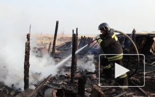 Видео из Благовещенска: ребенок поджег дом