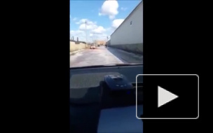 По улицам города Лебедянь Липецкой области текут реки сока