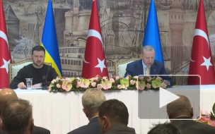 Эрдоган заявил о готовности провести мирные переговоры с участием России и Украины
