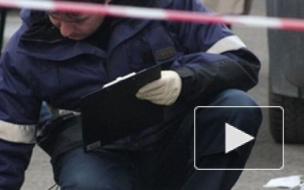 Кавказского студента МГИМО расстреляли в его Mercedes S500 