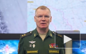 Минобороны РФ: в ДНР уничтожили около ста наемников "иностранного легиона"