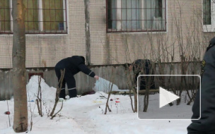 Психологам предстоит выяснить - из-за чего покончила с собой девочка из Петербурга