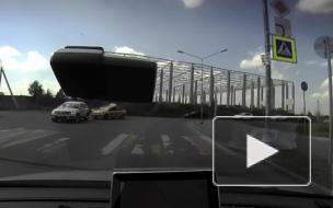 Уточки в Кудрово переходили дорогу по правилам