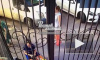Видео: в Ростове-на-Дону фельдшер пнул ногой выпившую пенсионерку