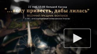 Праздник фонтанов в Петергофе посвятят 300-летию водоподводящей системы