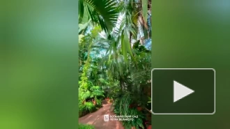 Пенсионерам и детям посоветовали не посещать оранжереи Ботанического сада в жару 