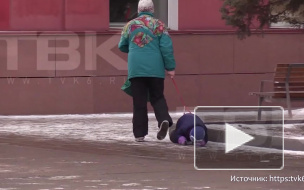 Пожилая россиянка привязала плачущего ребенка к поводку и потащила по асфальту