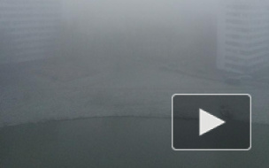 Петербуржцам объяснили, почему туман в городе так плохо пахнет