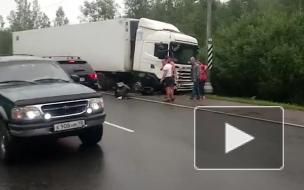 Водитель погиб после столкновения с грузовиком на "встречке" на трассе Петербург ― Псков