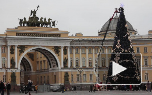 На Новый год Санкт-Петербург украсят 15 искусственных елок