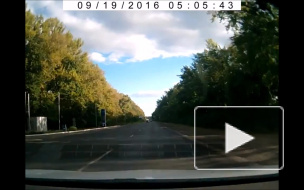 Повезло Полтава.