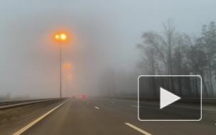 В ближайшие часы в Ленобласти ожидается туман 