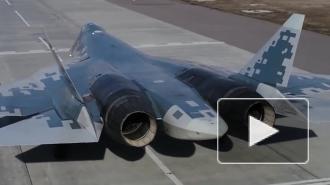 Анатолий Сердюков раскрыл перспективы Су-57