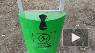 В Петербурге появились первые дог-боксы