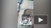 В Петербурге возбудили дело после убийства барана во дворе многоэтажки