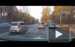 Видео: в Воронеже котенка спасли из-под колес автомобилей 