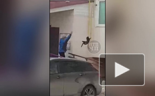 Видео: житель Башкирии кинул кота на заблудившегося в городе лосенка