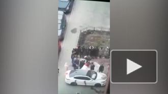 В Петербурге возбудили дело после убийства барана во дворе многоэтажки