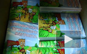 «Сетевые хомячки» обиделись за мигрантов