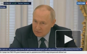 Путин поручил подставить плечо деревообрабатывающей отрасли