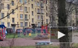 Прокуратура начала доследственную проверку по факту захвата детей в заложники в Колпино