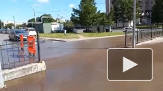 Трубу с горячей водой прорвало на проспекте Тореза