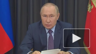 Путин: санкции ухудшают продовольственную ситуацию в мире