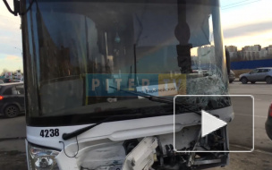 Видео: на улице Дыбенко автобус столкнулся с легковым автомобилем 