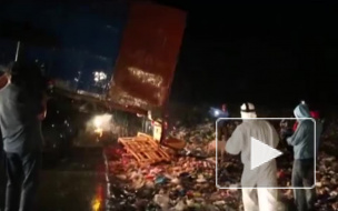 Россельхознадзор снял "хоррор" о жестоком уничтожении санкционных нектаринов