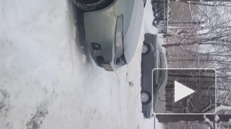 Снежные войны в Петербурге