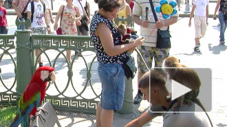 Мучитель животных попал на видео