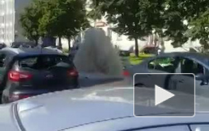 Видео: улицу у Полюстровского рынка полностью затопило