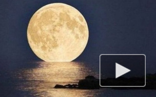 Cуперлуние в ночь на 11 августа, фото которого заполонили интернет, обрело свой хэштэг