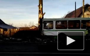 На Дороге Жизни автобус врезался в дерево: водителя зажало в кабине