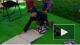 Видео: выборгские дети познакомились с роботами в ...