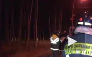 ДТП в Санкт-Петербурге: девять человек в больнице после лобового столкновения микроавтобуса и Газели