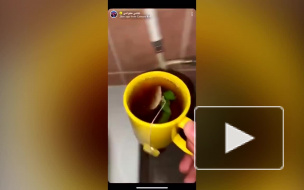 Блогеру грозит 5 лет тюрьмы за то, что он напоил жену чаем из унитаза 