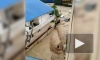 Унесенный потоком воды автомобиль в Сочи сняли на видео