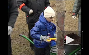 Скамейки  покрасили , цветы  посадили. Подвели итоги городского субботника