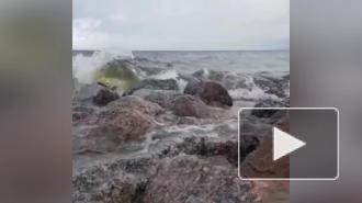 В Петербурге закрыли дамбу из-за штормового предупреждения