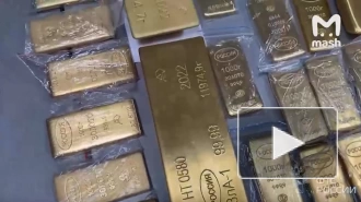 Перехваченные в московском аэропорту 225 килограммов золота попали на видео