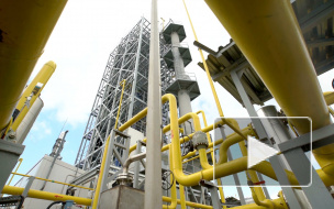 Создание независимой от "Нафтогаза" компании-оператора газотранспортной системы завершится раньше 19 декабря