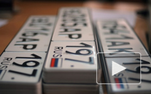 Подросток-вымогатель попался на краже автомобильных номеров и будет сурово наказан