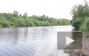 Олег Басилашвили поддержал защитников парка Малиновка в открытом письме губернатору Полтавченко