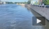 Росприроднадзор проводит проверку по факту загрязнения реки Малая Невка